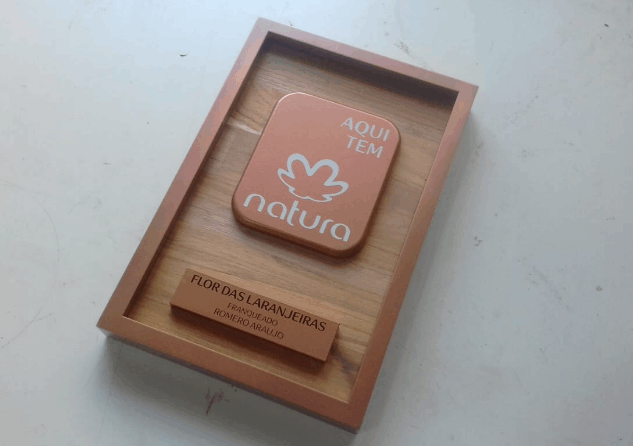 Brinde e presente 01.png